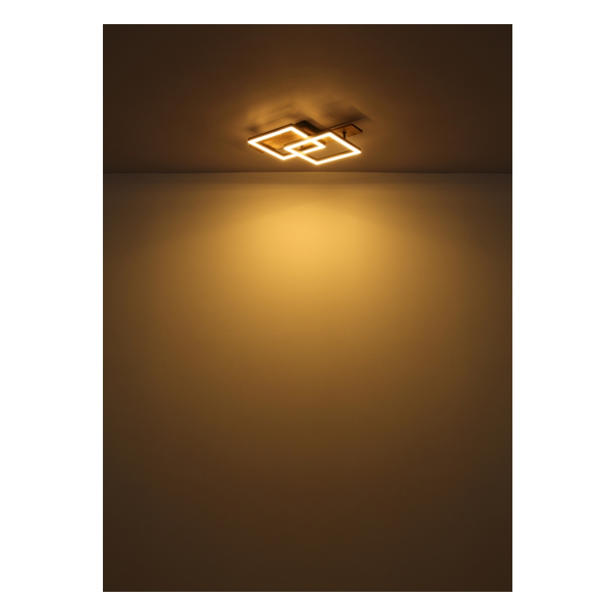 Globo - LED Stropna svjetiljka LED/16W/230V 3000K 33x44 cm