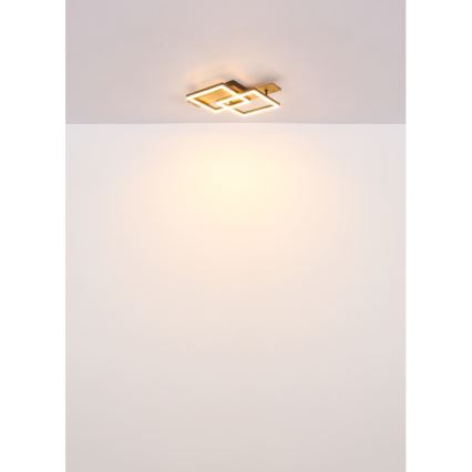 Globo - LED Stropna svjetiljka LED/16W/230V 3000K 33x44 cm