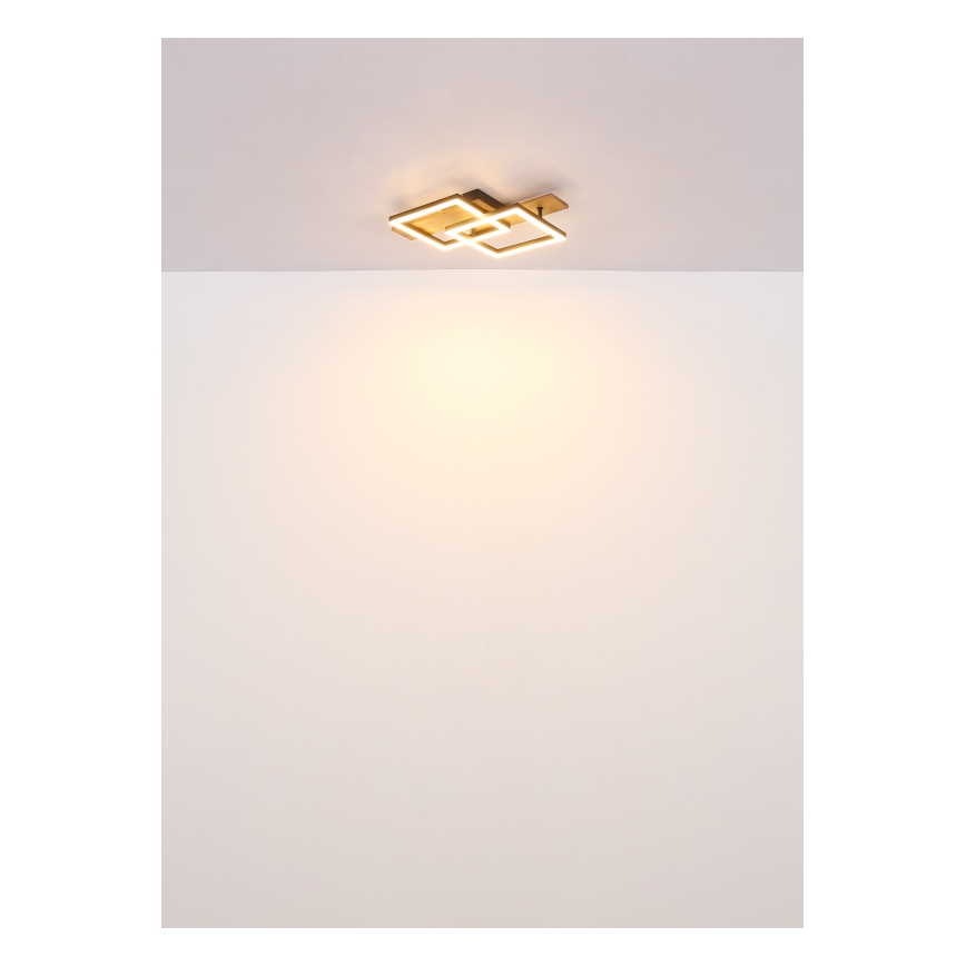Globo - LED Stropna svjetiljka LED/16W/230V 3000K 33x44 cm