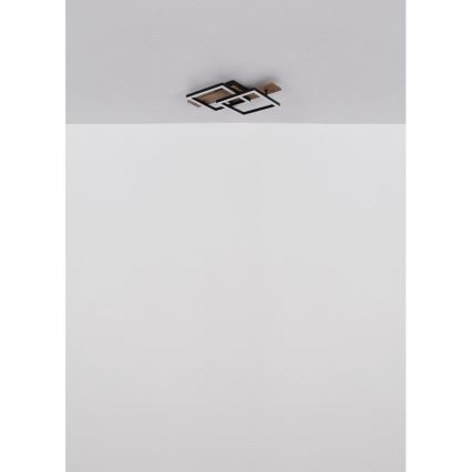 Globo - LED Stropna svjetiljka LED/16W/230V 3000K 33x44 cm