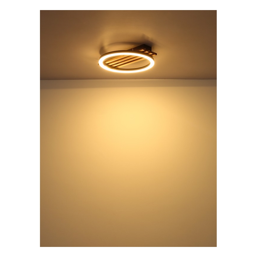 Globo - LED Stropna svjetiljka LED/12W/230V 3000K 30x34 cm