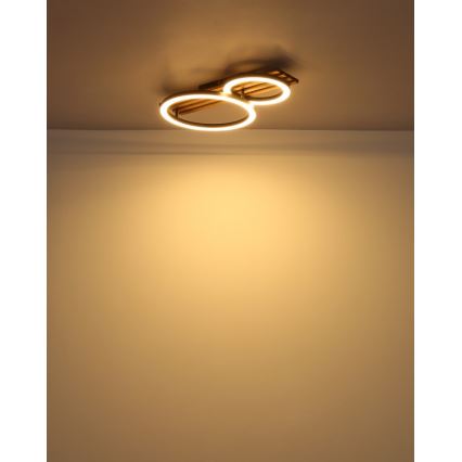 Globo - LED Stropna svjetiljka LED/18W/230V 3000K 30x48 cm