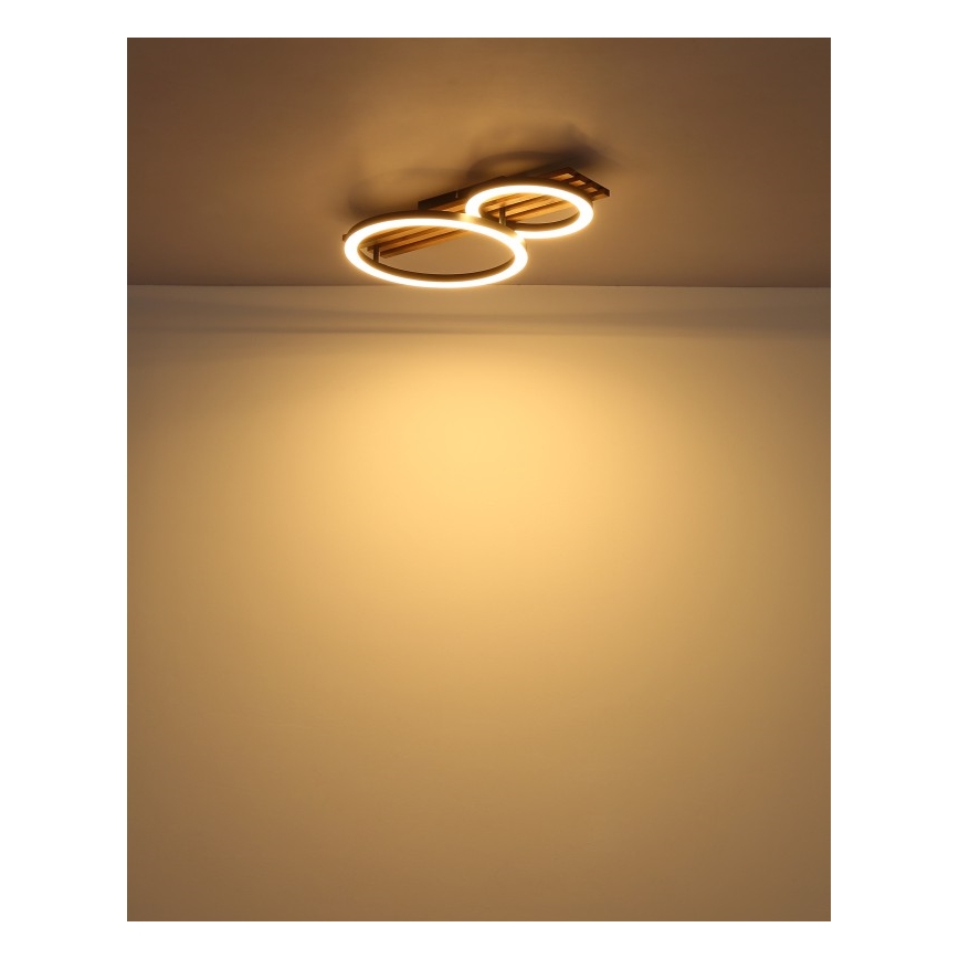 Globo - LED Stropna svjetiljka LED/18W/230V 3000K 30x48 cm