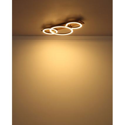 Globo - LED Stropna svjetiljka LED/24W/230V 3000K 30x62 cm