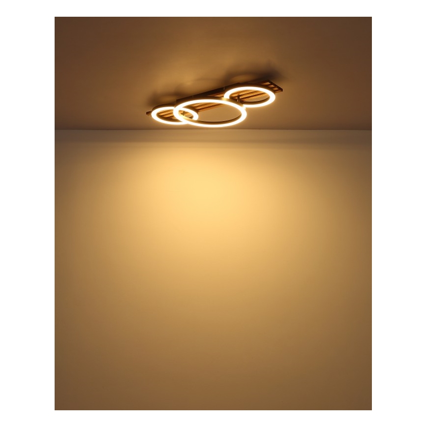 Globo - LED Stropna svjetiljka LED/24W/230V 3000K 30x62 cm