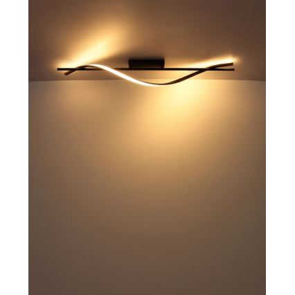 Globo - LED stropna svjetiljka LED/20,5W/230V 3000K