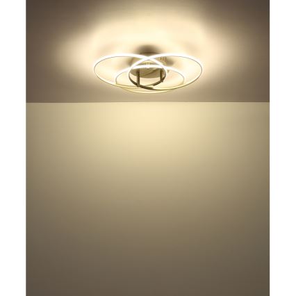 Globo - LED Stropna svjetiljka LED/40W/230V 4000K pr. 45,6 cm mat krom