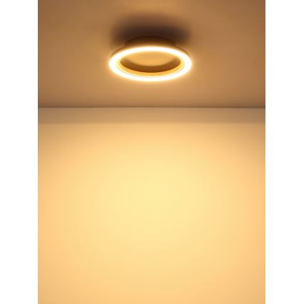 Globo - LED stropno svjetlo LED/12W/230V 3000K Ø 20,5 cm