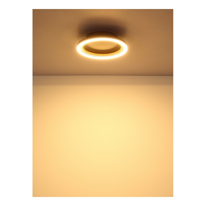 Globo - LED stropno svjetlo LED/12W/230V 3000K Ø 20,5 cm