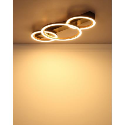 Globo - LED stropna svjetiljka LED/40W/230V 3000K 58x30 cm