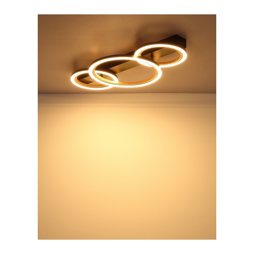 Globo - LED stropna svjetiljka LED/40W/230V 3000K 58x30 cm