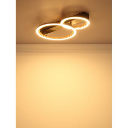 Globo - LED stropna svjetiljka LED/30W/230V 3000K 44x30 cm