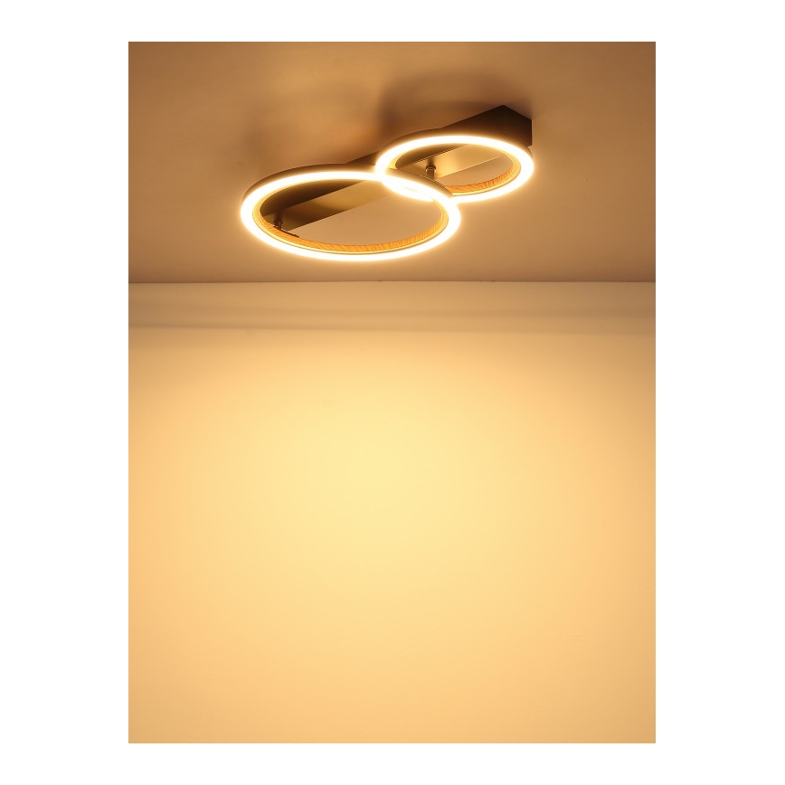 Globo - LED stropna svjetiljka LED/30W/230V 3000K 44x30 cm