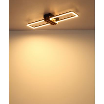 Globo - LED stropno svjetlo LED/20W/230V 3000K 60x16,8 cm