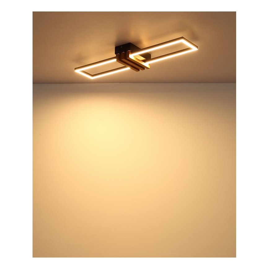 Globo - LED stropno svjetlo LED/20W/230V 3000K 60x16,8 cm