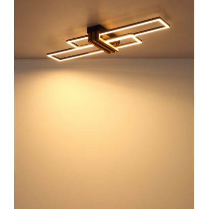 Globo - LED stropna svjetiljka LED/30W/230V 3000K 80x23 cm