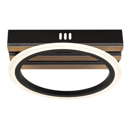 Globo - LED stropna svjetiljka LED/10W/230V 3000/4200/6000K