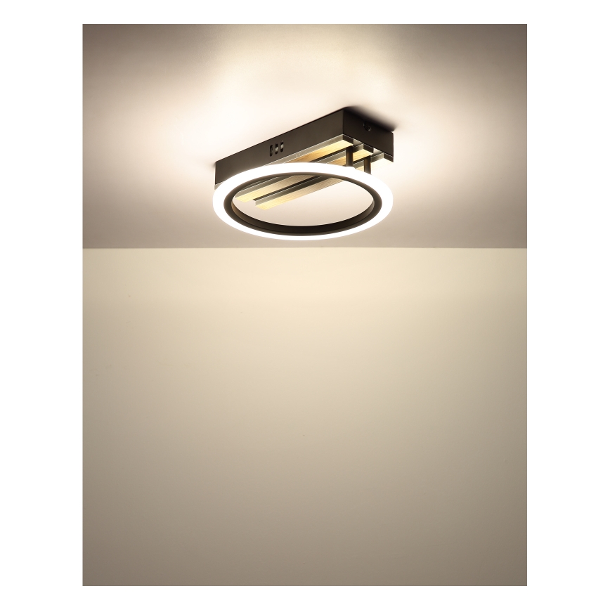 Globo - LED stropno svjetlo LED/10W/230V 3000/4200/600K 25x25 cm