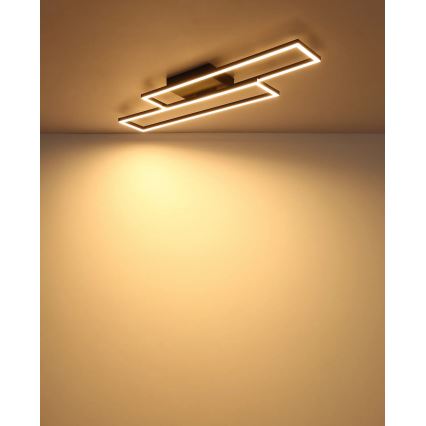 Globo - LED stropna svjetiljka LED/30W/230V 3000K 80x22 cm