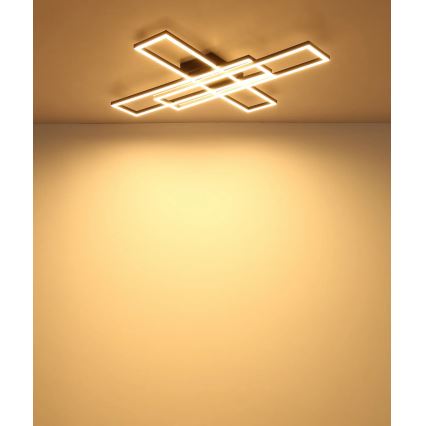 Globo - LED stropna svjetiljka LED/55W/230V 3000K 80x60 cm