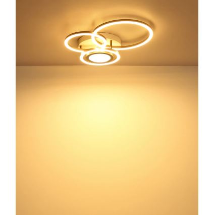 Globo - LED stropna svjetiljka LED/40W/230V 3000K 49x39 cm