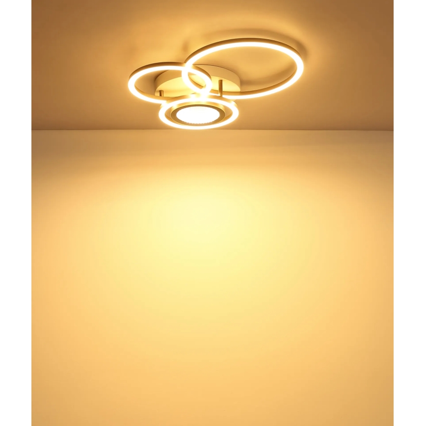 Globo - LED stropna svjetiljka LED/40W/230V 3000K 49x39 cm