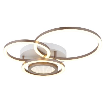 Globo - LED stropna svjetiljka LED/40W/230V 3000K 49x39 cm