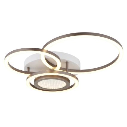 Globo - LED stropna svjetiljka LED/40W/230V 3000K 49x39 cm
