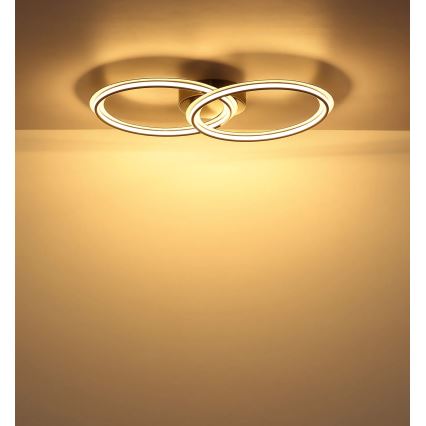 Globo - LED stropna svjetiljka LED/30W/230V 3000K 33x54 cm