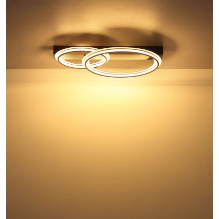 Globo - LED stropna svjetiljka LED/30W/230V 3000K 33x45 cm