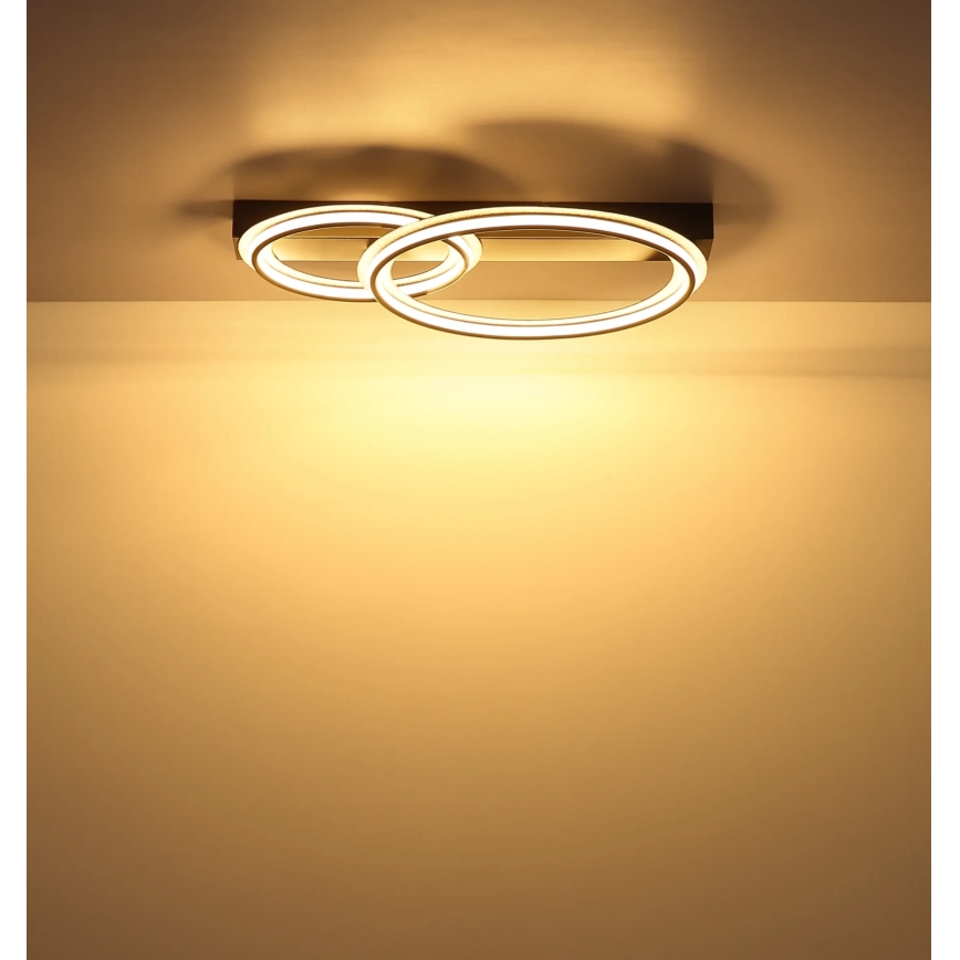 Globo - LED stropna svjetiljka LED/30W/230V 3000K 33x45 cm