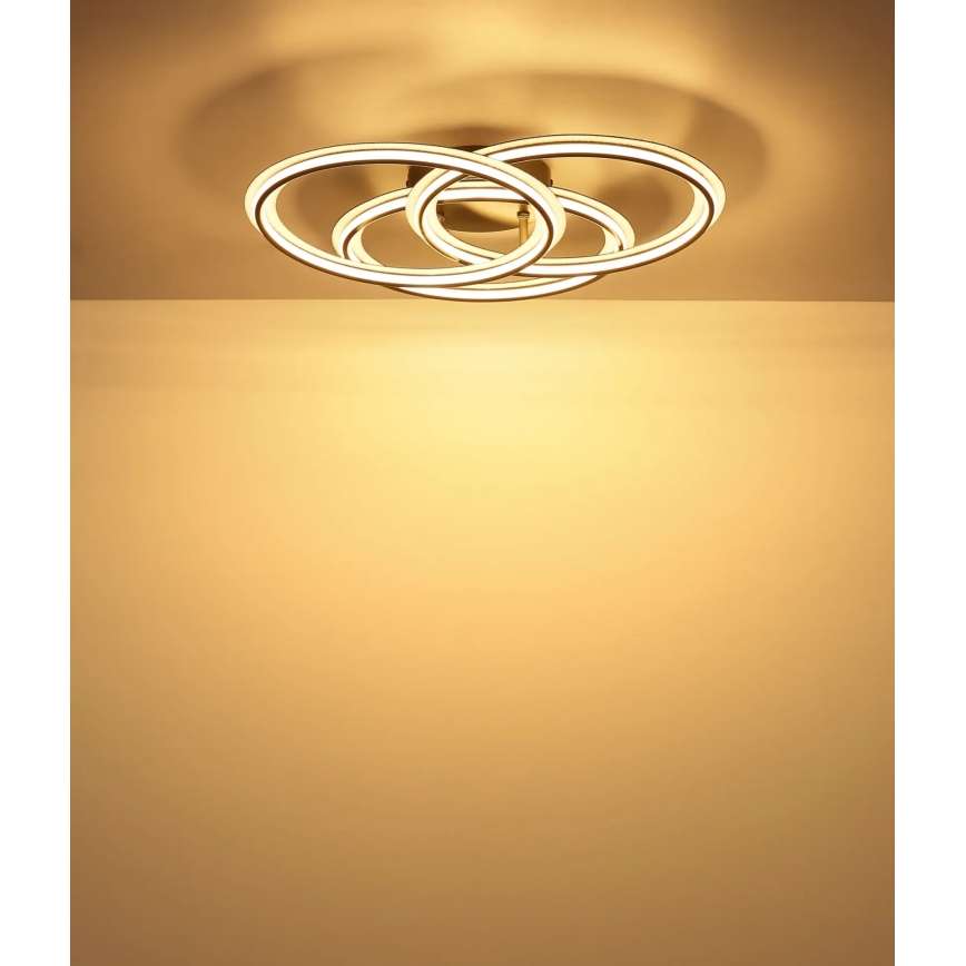 Globo - LED stropna svjetiljka LED/40W/230V 3000K, promjer 52 cm