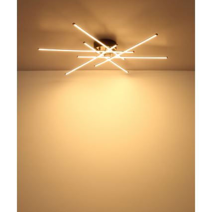 Globo - LED Stropna svjetiljka LED/40W/230V 3000K crna