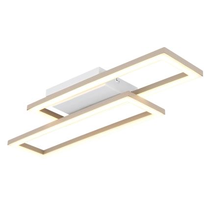 Globo - LED stropna svjetiljka LED/16W/230V 3000/4000/6000K