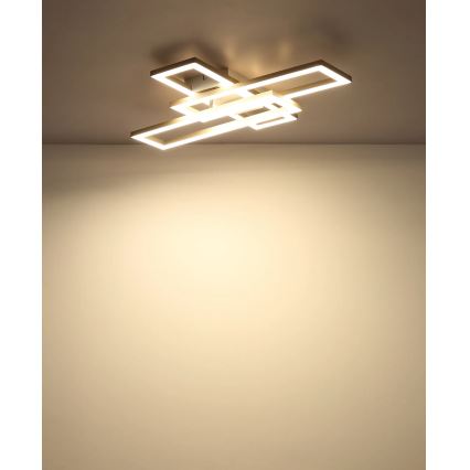 Globo - LED Stropno svjetlo LED/24W/230V 3000/4000/6000K