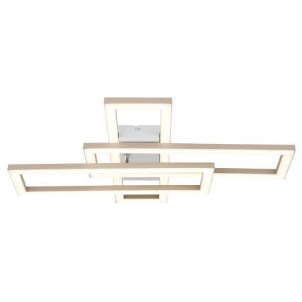 Globo - LED Stropno svjetlo LED/24W/230V 3000/4000/6000K