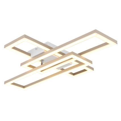 Globo - LED Stropno svjetlo LED/24W/230V 3000/4000/6000K