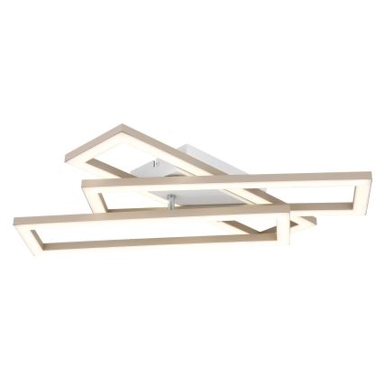 Globo - LED Stropno svjetlo LED/24W/230V 3000/4000/6000K