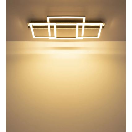 Globo - LED stropna svjetiljka LED/40W/230V 3000K 33x70 cm