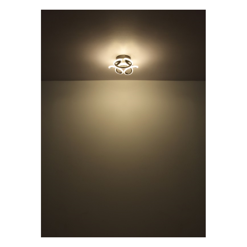 Globo - LED Stropna svjetiljka LED/24W/230V 2700/4000/6000K pr. 26 cm crna