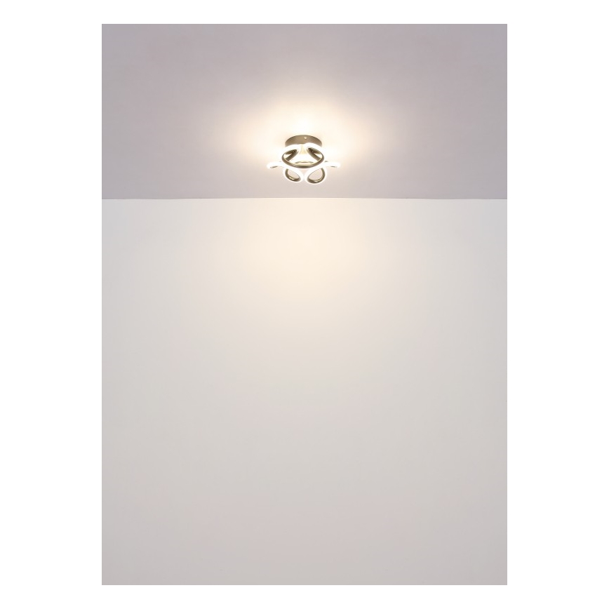 Globo - LED Stropna svjetiljka LED/24W/230V 2700/4000/6000K pr. 26 cm crna