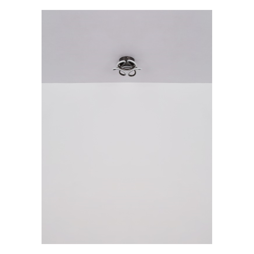 Globo - LED Stropna svjetiljka LED/24W/230V 2700/4000/6000K pr. 26 cm crna