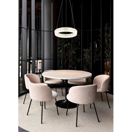 Globo - LED prigušivi luster na sajli LED/24W/230V 2700-6000K prozirno + daljinski upravljač