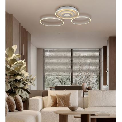 Globo - LED prigušivo stropno svjetlo LED/40W/230V 2700-6500K 57x99,2 cm srebrno + daljinski upravljač