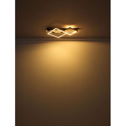 Globo - LED Stropna svjetiljka LED/24W/230V 3000K