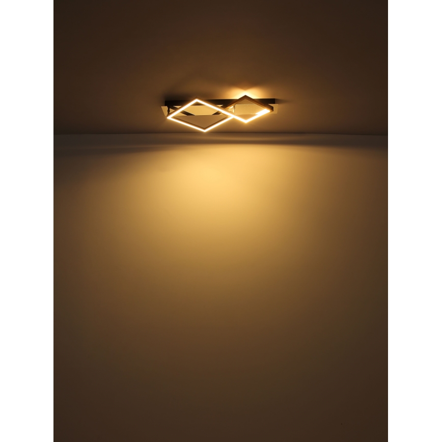 Globo - LED Stropna svjetiljka LED/24W/230V 3000K