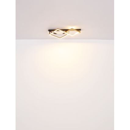 Globo - LED Stropna svjetiljka LED/24W/230V 3000K