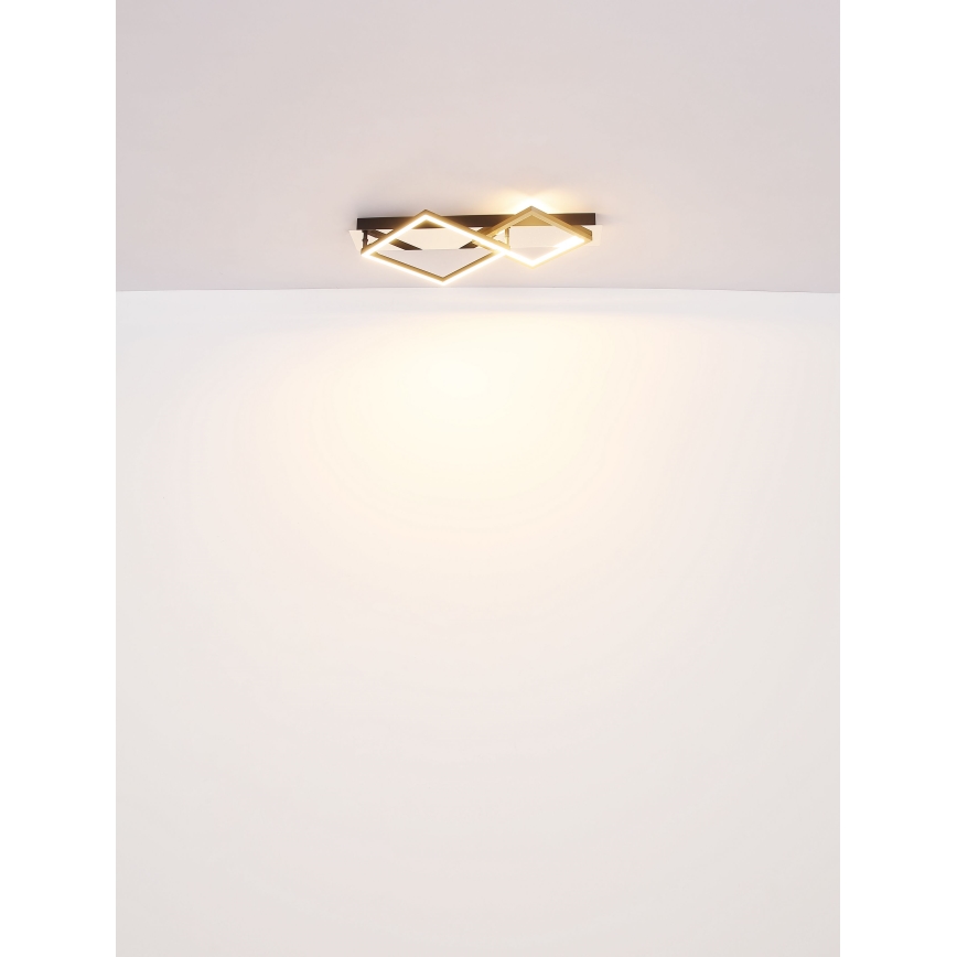 Globo - LED Stropna svjetiljka LED/24W/230V 3000K