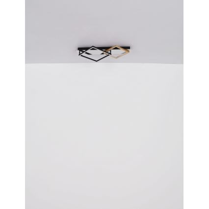 Globo - LED Stropna svjetiljka LED/24W/230V 3000K