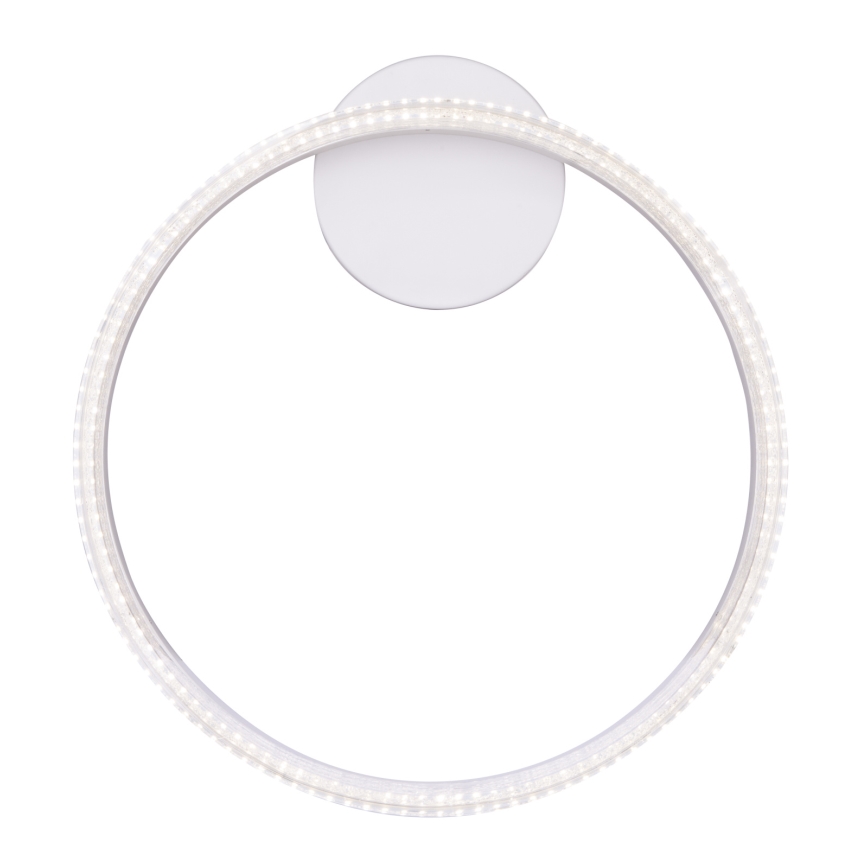 Globo - LED Stropna svjetiljka LED/24W/230V